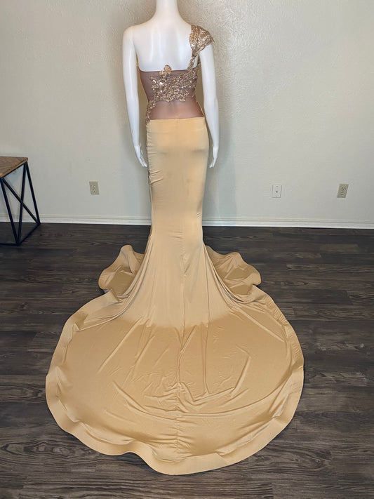 Nude Dreams Gown